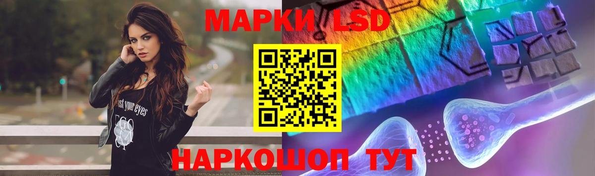 mega зеркало  Вход с VPN  Бердск  ЛСД экстази ecstasy  LSD-25 экстази кислота 