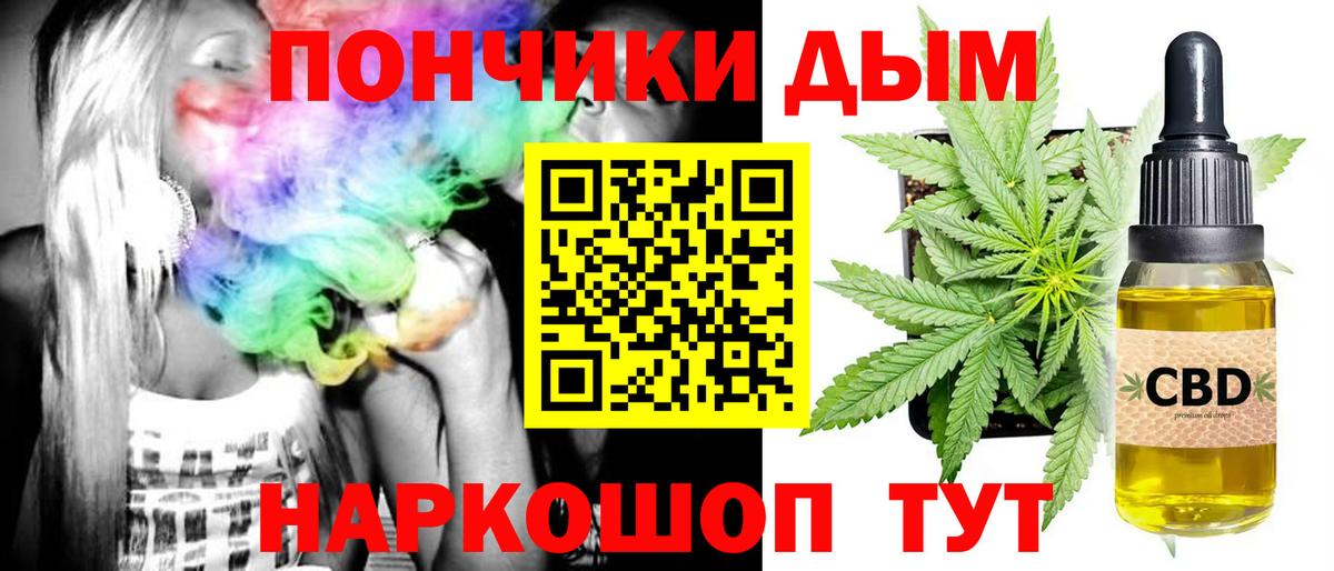 Конопля гибрид Бердск